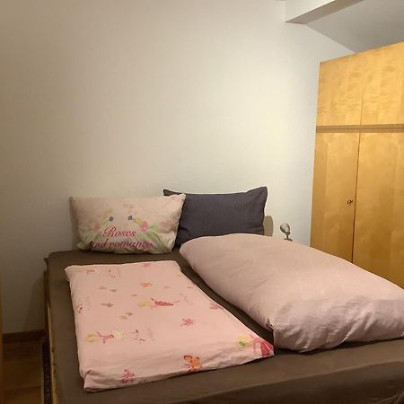 Ferienwohnung Apartment Doppelzimmer In Der Villa Naturpark Rheinblick, Ruhig, Aussicht, Pool Coblenza Exterior foto