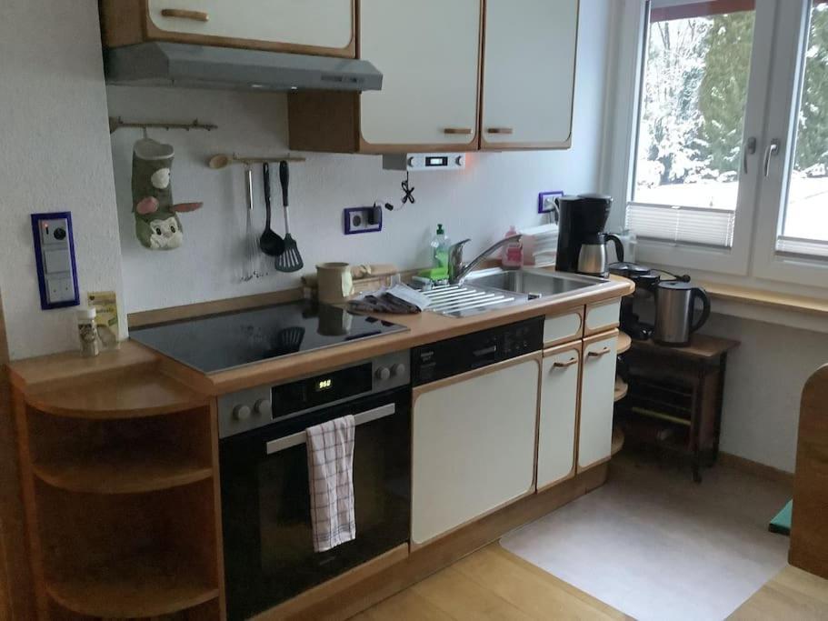 Ferienwohnung Apartment Doppelzimmer In Der Villa Naturpark Rheinblick, Ruhig, Aussicht, Pool Coblenza Exterior foto