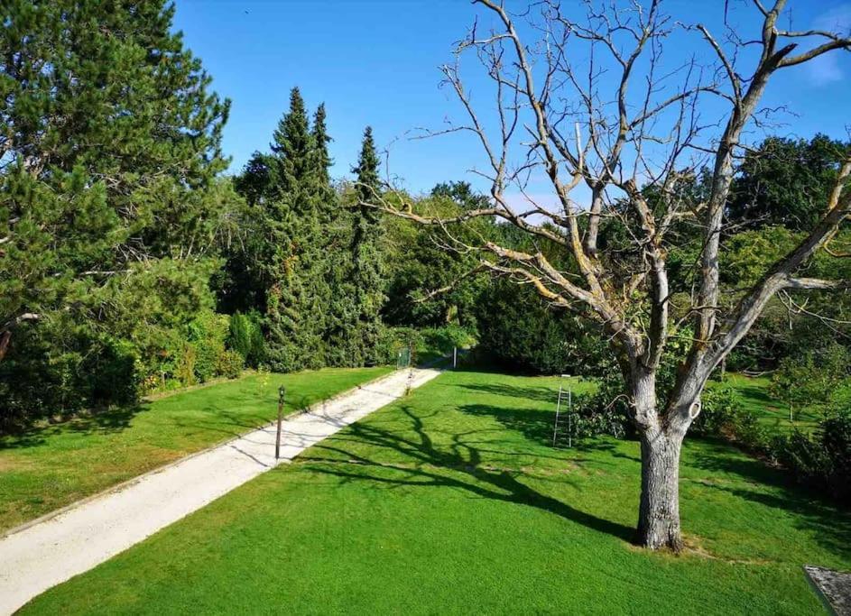 Ferienwohnung Apartment Doppelzimmer In Der Villa Naturpark Rheinblick, Ruhig, Aussicht, Pool Coblenza Exterior foto