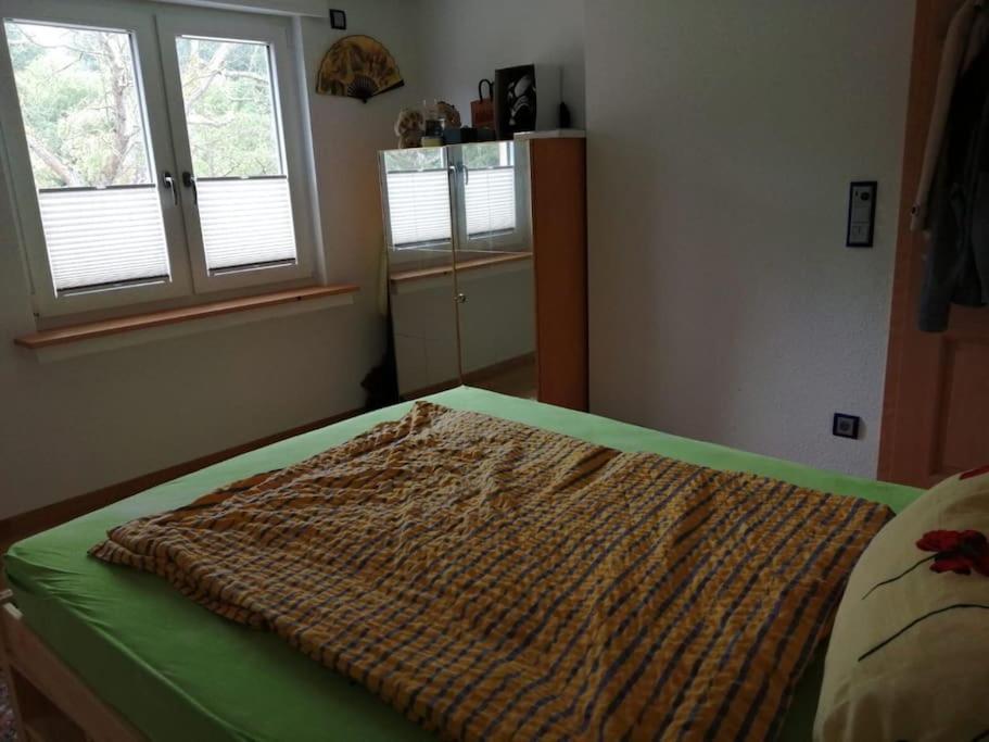 Ferienwohnung Apartment Doppelzimmer In Der Villa Naturpark Rheinblick, Ruhig, Aussicht, Pool Coblenza Exterior foto