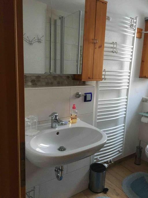 Ferienwohnung Apartment Doppelzimmer In Der Villa Naturpark Rheinblick, Ruhig, Aussicht, Pool Coblenza Exterior foto