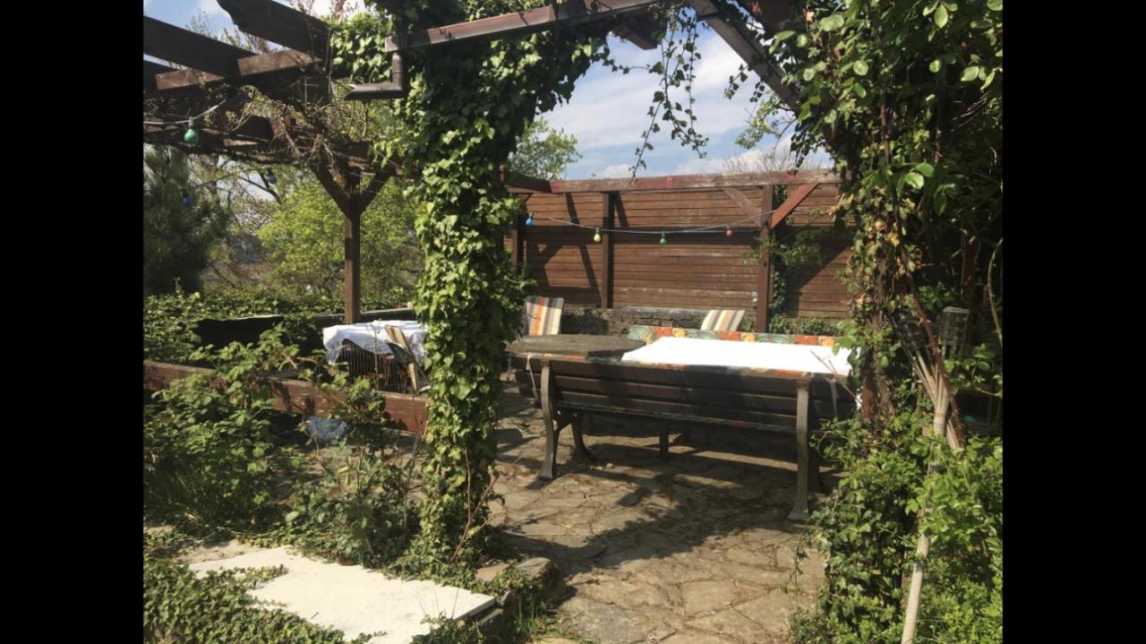 Ferienwohnung Apartment Doppelzimmer In Der Villa Naturpark Rheinblick, Ruhig, Aussicht, Pool Coblenza Exterior foto